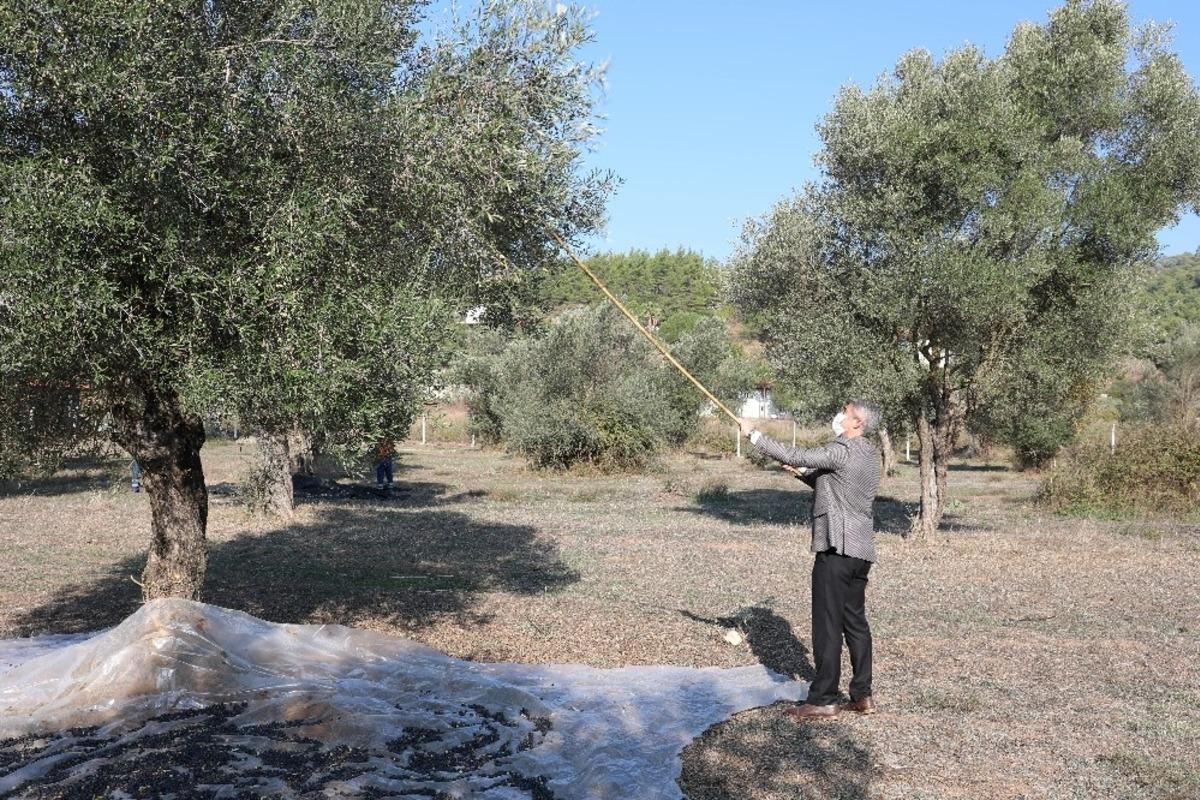 Marmaris Belediyesi tarımsal gelişmeye &ouml;nem veriyor