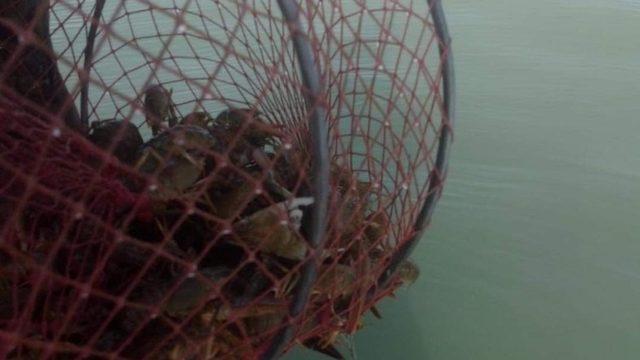 Eğirdir Gölü’nde kaçak kerevit avına geçit verilmiyor