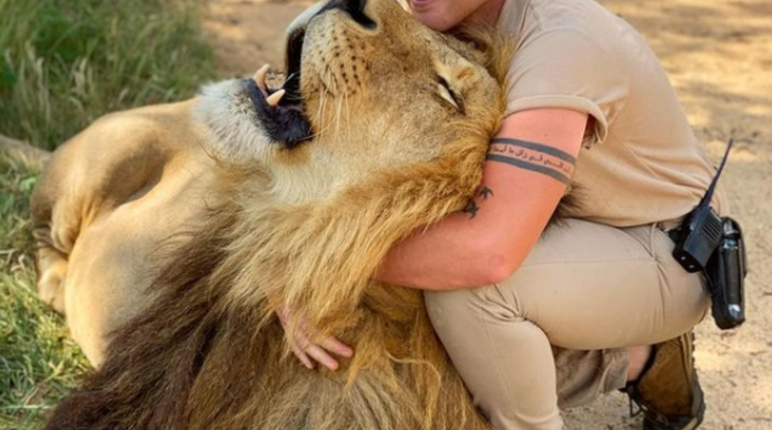 En iyi arkadaşı aslanlar ve çitalar! Bir gecede ünlü oldu