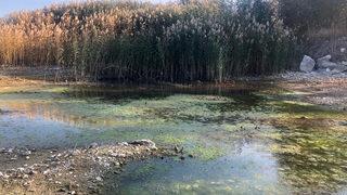 Eğirdir ve Beyşehir'de 'dip suyu' alarmı