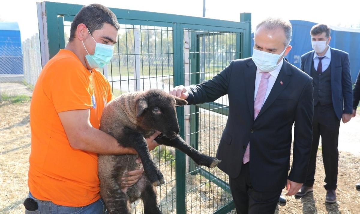 &Ccedil;aresizlik Bursa B&uuml;y&uuml;kşehir&rsquo;le umuda d&ouml;n&uuml;ş&uuml;yor