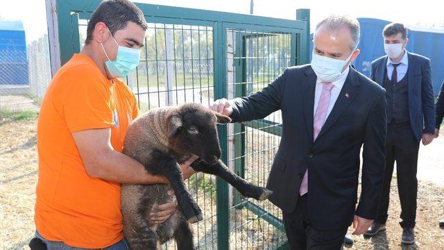 Çaresizlik Bursa Büyükşehir’le umuda dönüşüyor