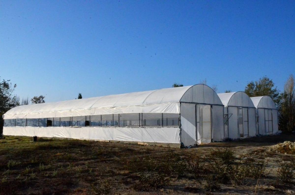 Emet Belediyesi kendi fidan ve &ccedil;i&ccedil;eğini &uuml;retecek