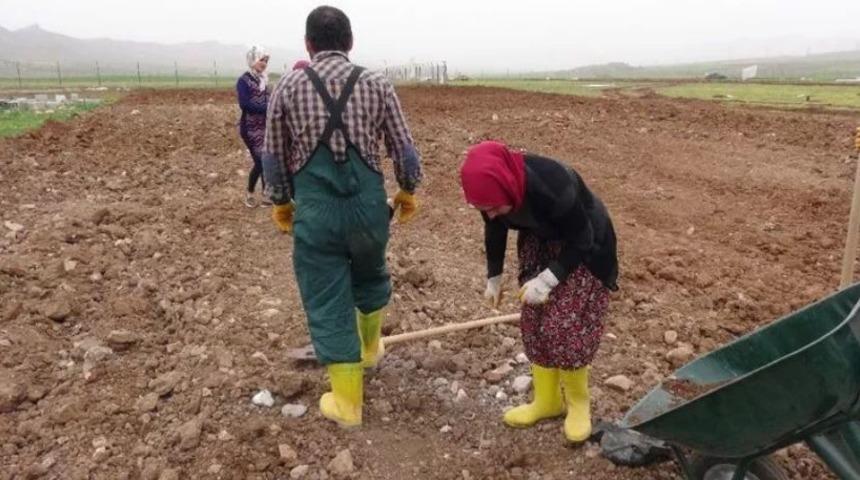 Köylü- çiftçi borç yapılandırma 2020 başvurusu... Çiftinin Tarım Kooperatifleri kredi borcu yapılandırılıyor mu?  