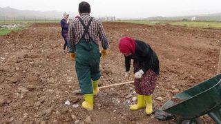 2021 Çiftçiye mazot ve gübre desteği ödeme tarihi: Çiftçiye gübre, mazot, tarımsal destek ödemesi ne zaman hangi tarihte verilecek?