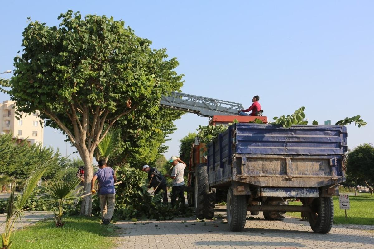 Erdemli&rsquo;de yeşil alan &ccedil;alışmaları devam ediyor