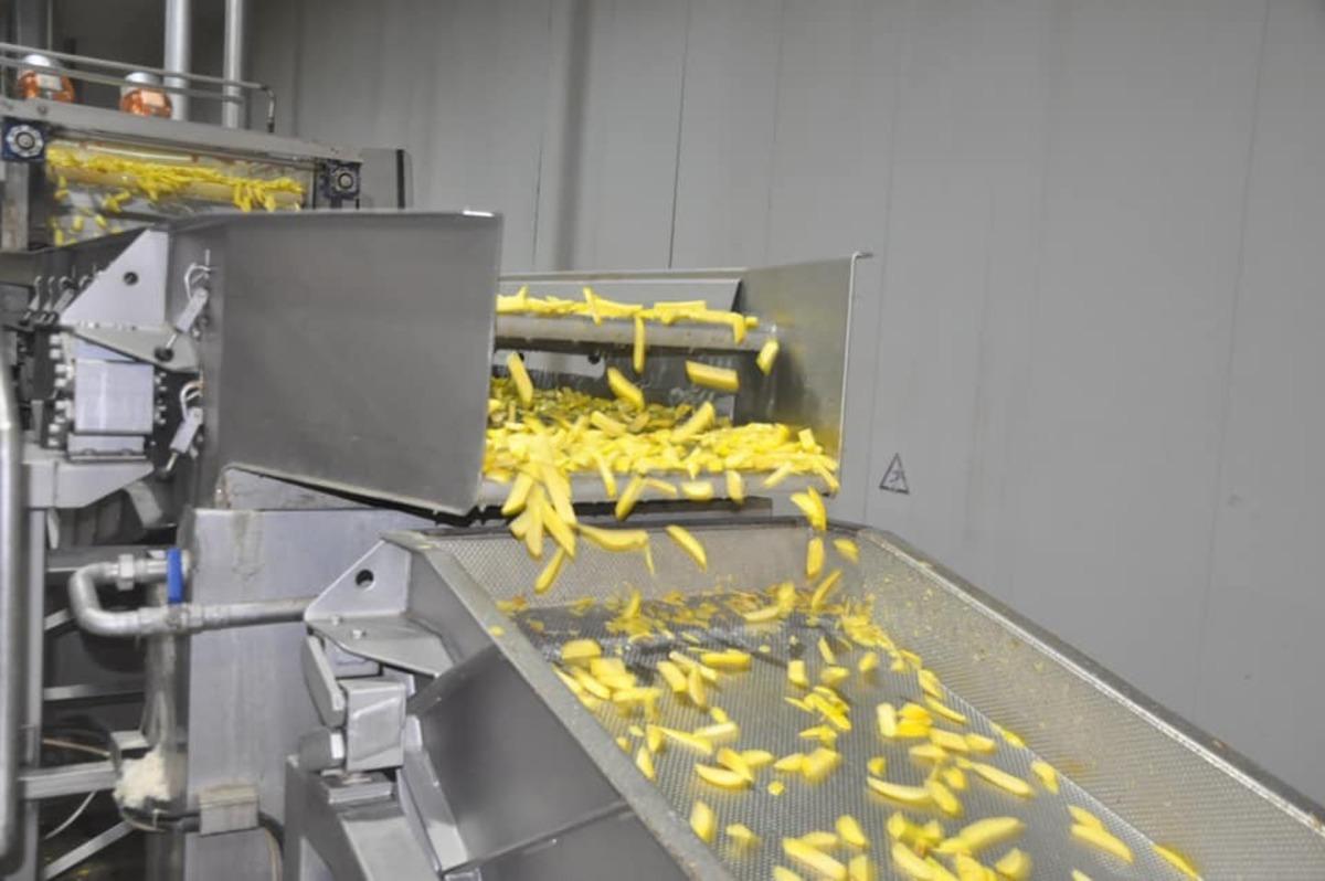 Yıllık 25 bin ton patates işliyorlar