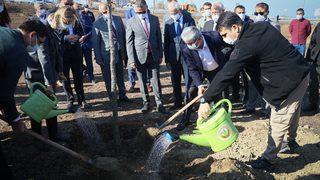 Hatay'da yanan ormanlık alanlara mabet ağacı dikildi