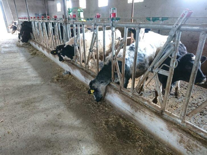 Yatırımcıya yüzde 50 hibe desteğiyle makine ve ekipman G3