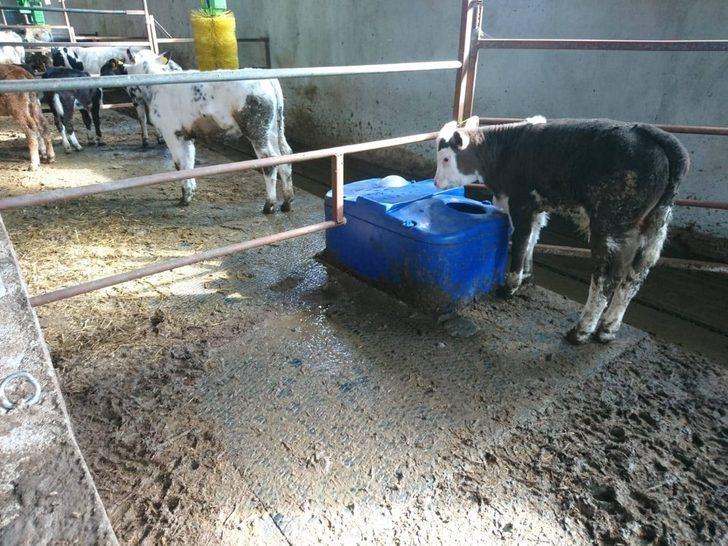 Yatırımcıya yüzde 50 hibe desteğiyle makine ve ekipman G5