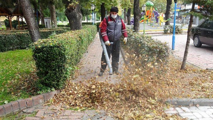 Temizlik ekiplerinin “yaprak" mesaisi kolaylaştı G1