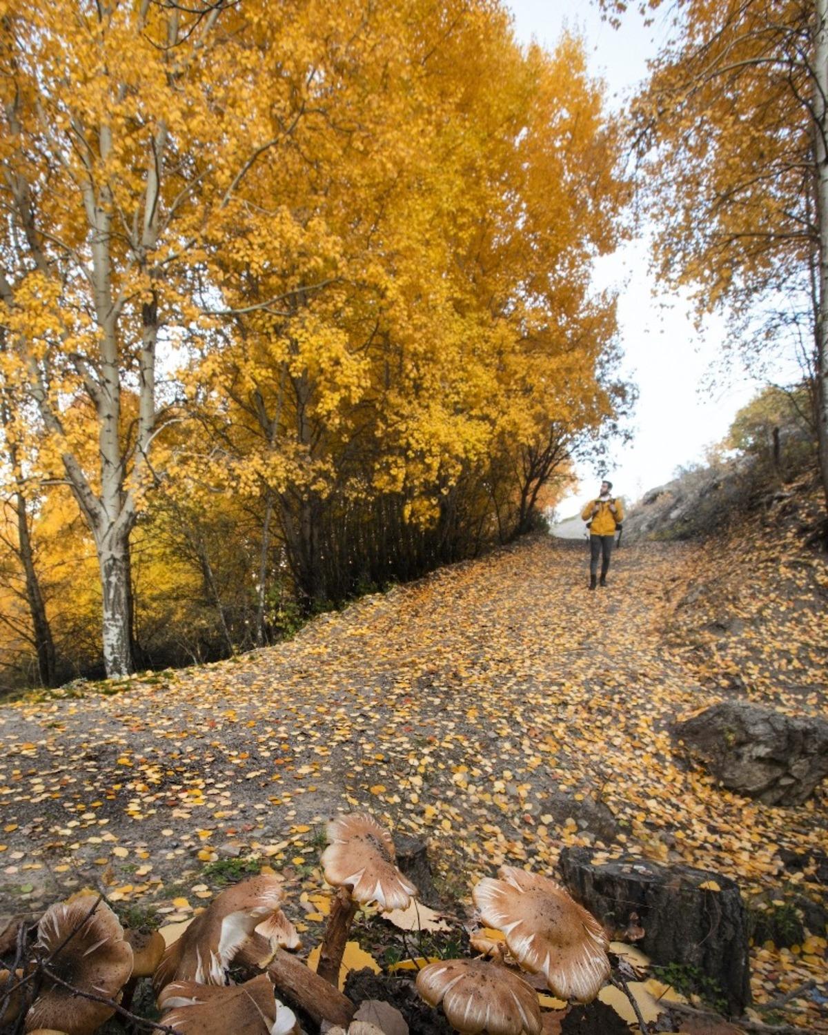 Afyonkarahisar&rsquo;da kartpostallık sonbahar manzaraları