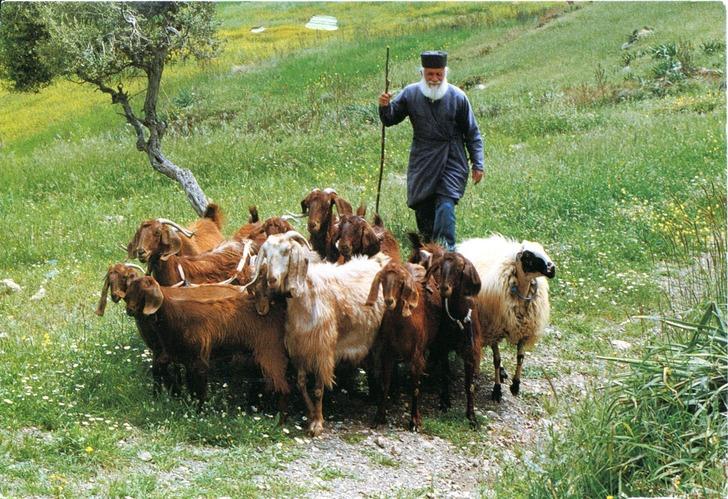 Kahve Hakkında Hiç Bilmediğiniz 11 Şaşırtıcı Gerçek G1