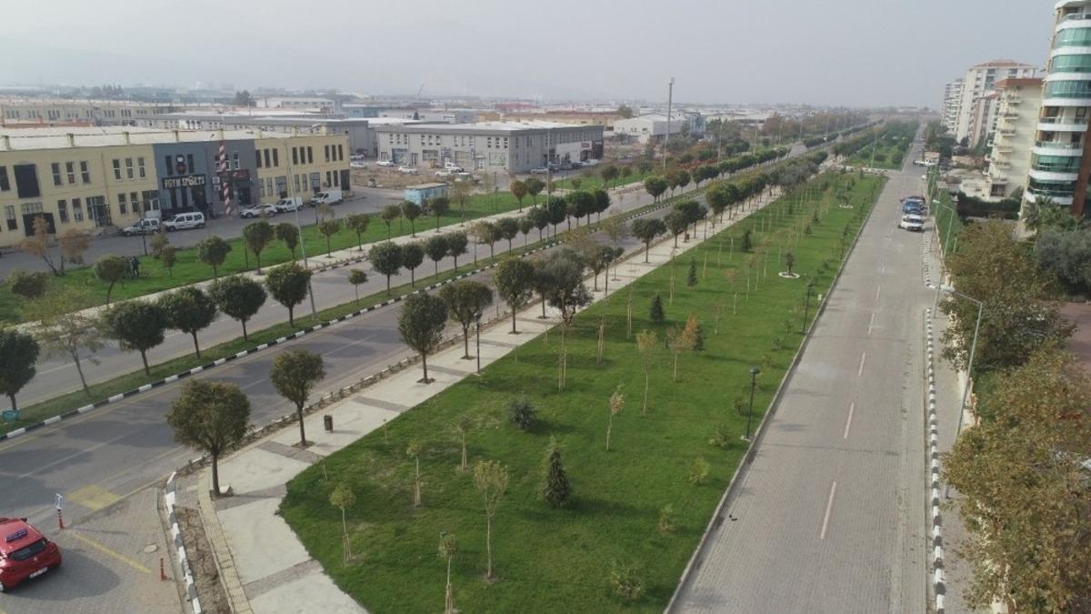 Yunusemre&rsquo;de 35 bin metrekarelik alan yeşillendi