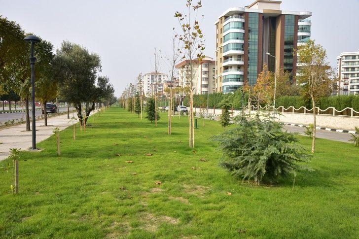 Yunusemre’de 35 bin metrekarelik alan yeşillendi G4