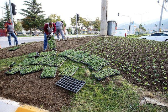 Tokat, kışa rengarenk hazırlanıyor