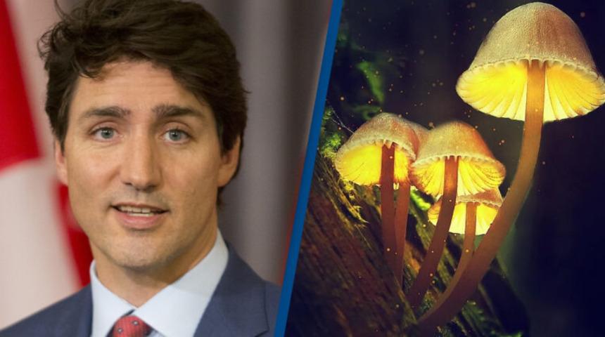 Depresyon tedavisinde 'sihirli' mantara izin