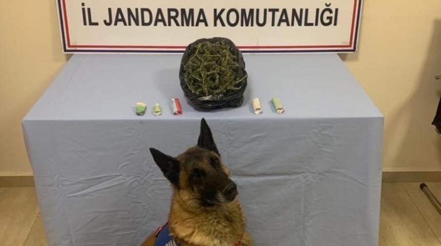 Bitlis&rsquo;te 1 kilo 100 gram kubar esrar ele ge&ccedil;irildi