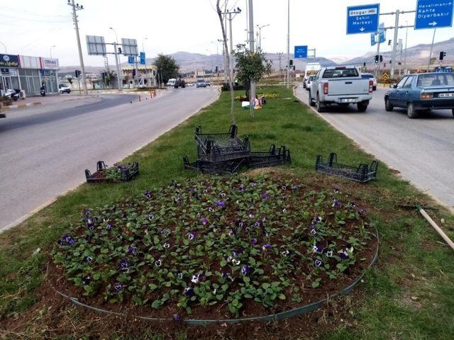 Yeşil alanlarda mevsimsel bakım çalışmaları yapılıyor