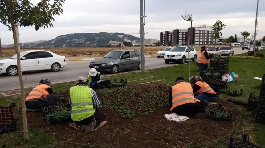 Yeşil alanlarda mevsimsel bakım &ccedil;alışmaları yapılıyor