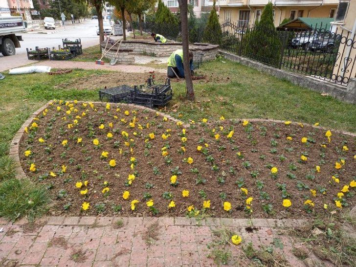 Safranbolu Belediyesi kenti çiçeklerle donattı G2