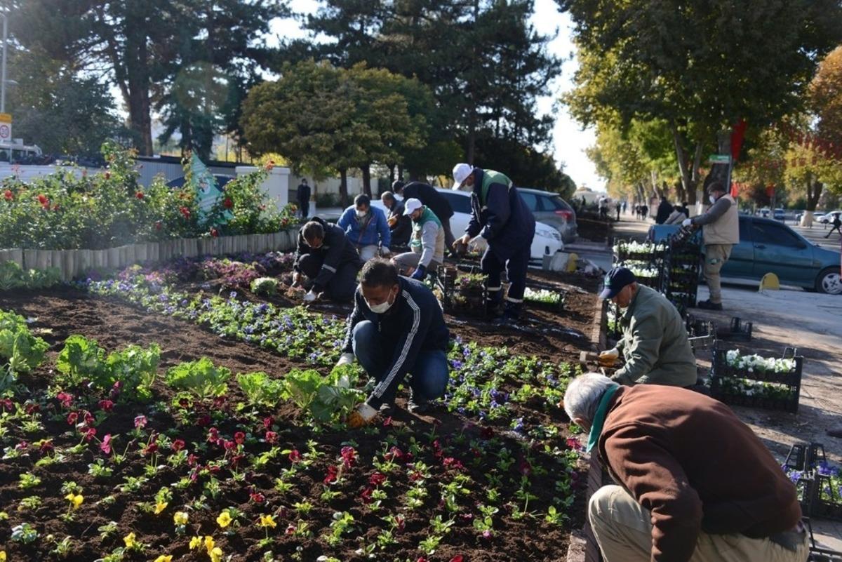 Yeşil alanlara &ccedil;i&ccedil;ek ekimi