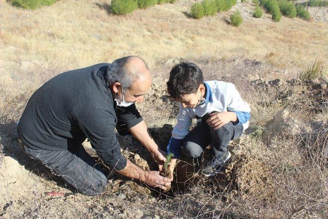 Öğretmenlerin diktiği fidanlar toprakla buluştu