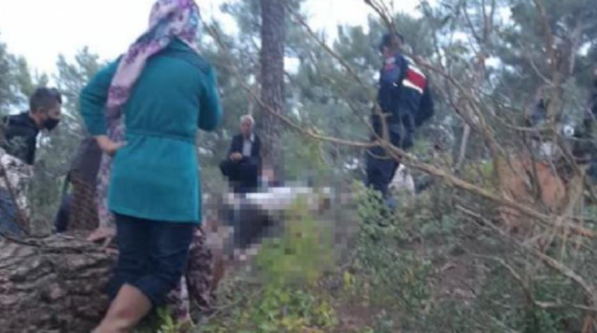 Yuvarlanan tomrukların altında kalarak can verdi