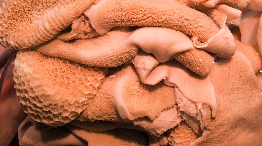 Havalar soğuyunca talep arttı! Siparişlere yetişemiyorlar...