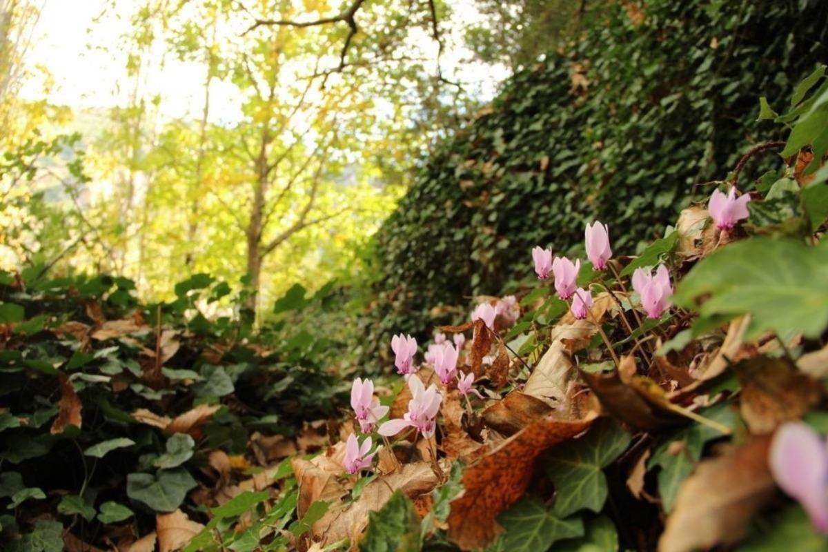 Aydın&rsquo;ın yanı başında bir doğa harikası: &ldquo; Ko&ccedil;ak Kanyonu &ldquo;
