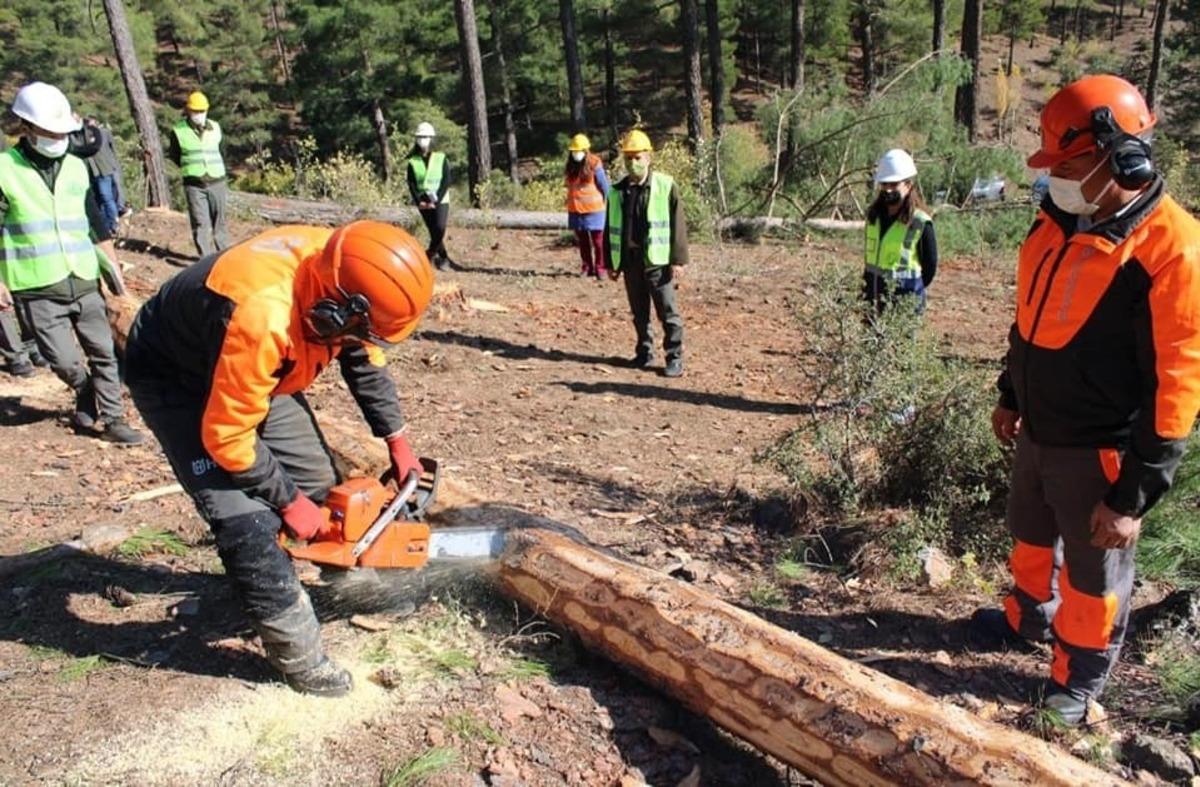 Eğirdir&rsquo;de orman &uuml;r&uuml;nleri &uuml;retim tatbikatı