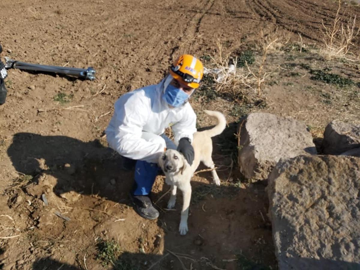 Su kuyusunda mahsur kalan k&ouml;pek kurtarıldı