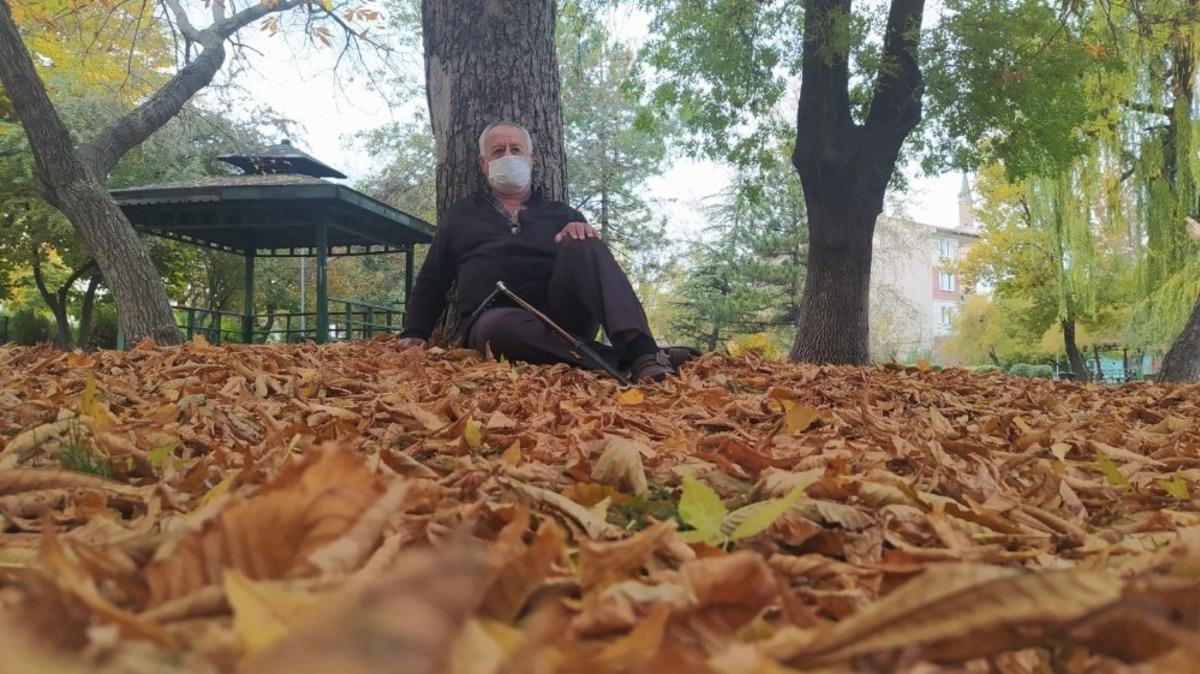 Yere d&uuml;ş&uuml;n yapraklar g&uuml;zel g&ouml;r&uuml;nt&uuml;ler oluşturdu