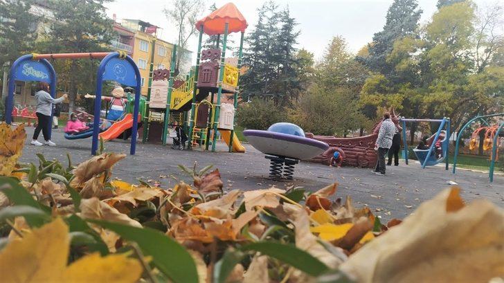 Yere düşün yapraklar güzel görüntüler oluşturdu G2