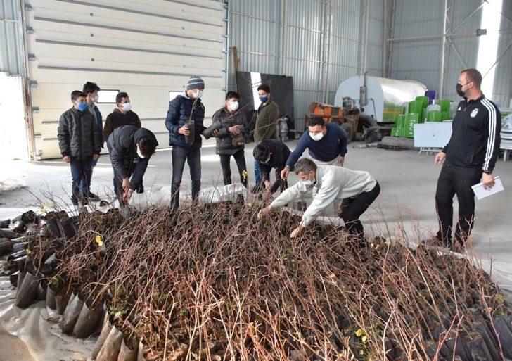 İnönü Belediyesi’nden ağaçlandırma seferberliği G2