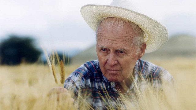 Ekmeğimizi Katleden Adam: Dr Norman Borlaug