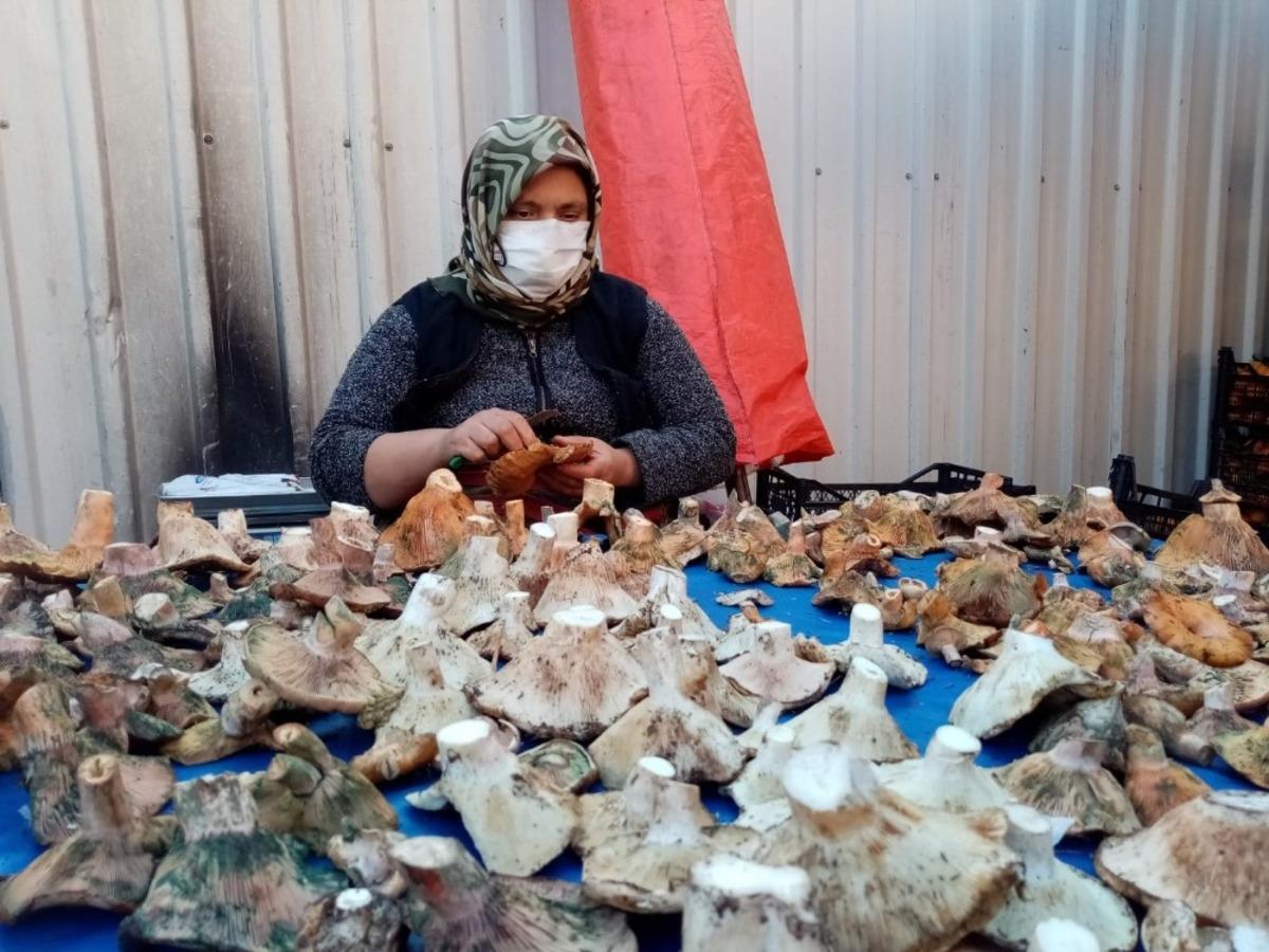 Havalar kurak gidince mantar fiyatları y&uuml;zde 100 zamlandı