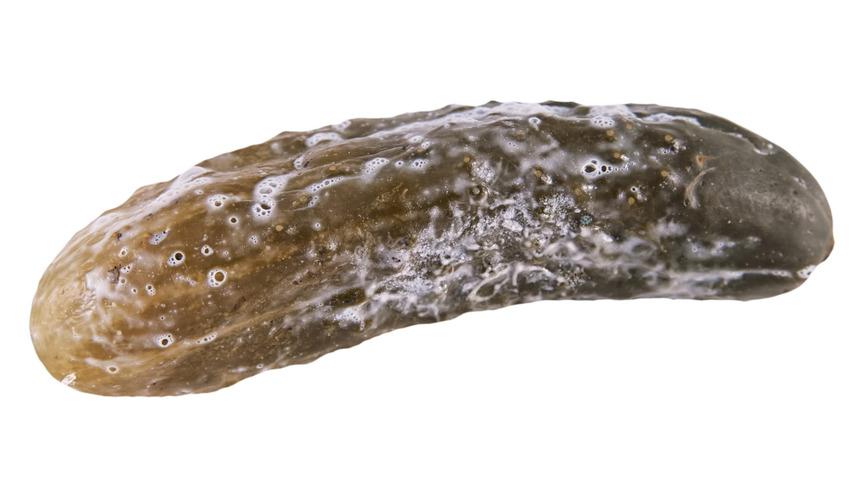 Turşunun üzerindeki beyaz tabakaya dikkat! Hemen alınmazsa...