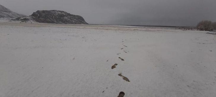 Seydikemer’e yılın ilk karı düştü G5