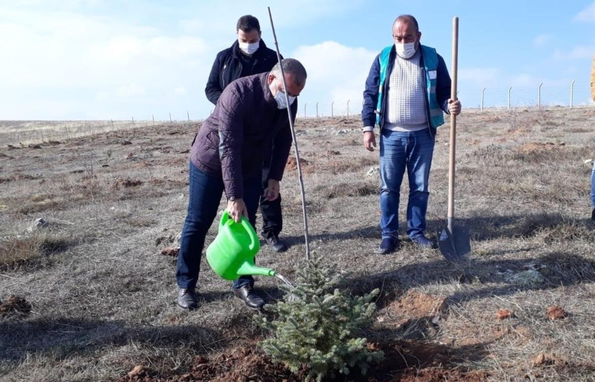 K&uuml;tahya&rsquo;da Adalet Ormanı&rsquo;na 300 fidan dikildi