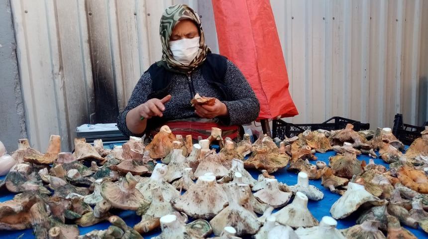 Havalar kurak gidince mantar fiyatları yüzde 100 zamlandı