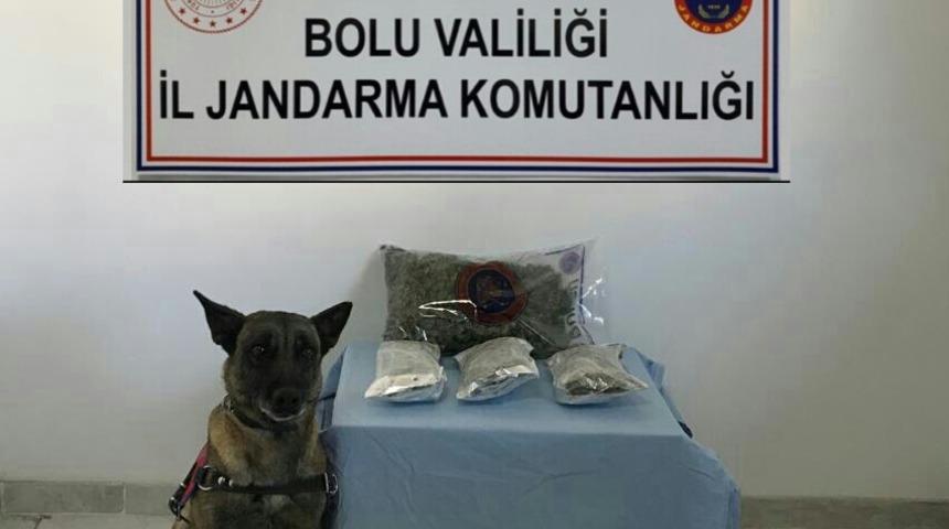 Bolu&rsquo;da 1 kilo esrarla yakalanan şahıs tutuklandı