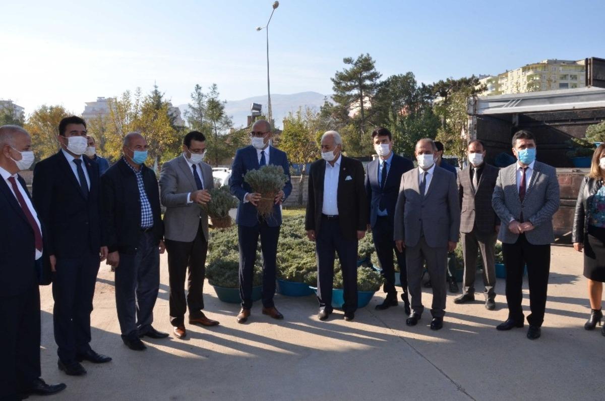 Kurtalan&rsquo;da &ccedil;ift&ccedil;ilere 128 bin adet lavanta fidesi dağıtıldı