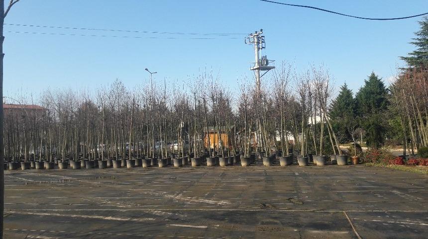 Fidan desteği için başvurular yarın bitiyor