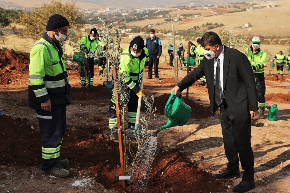 21. Etap Şehitkamil ormanı&rsquo;na can suyu verildi