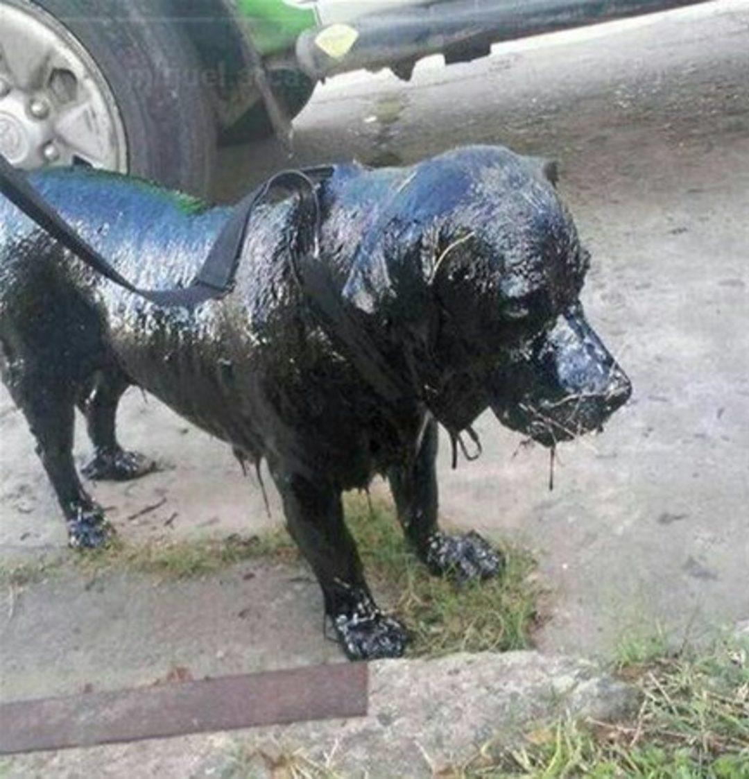 Гудрон это