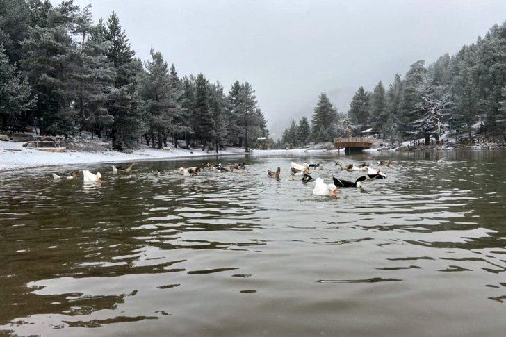 Gümüşhane’nin beyaz cenneti: Limni Gölü G3