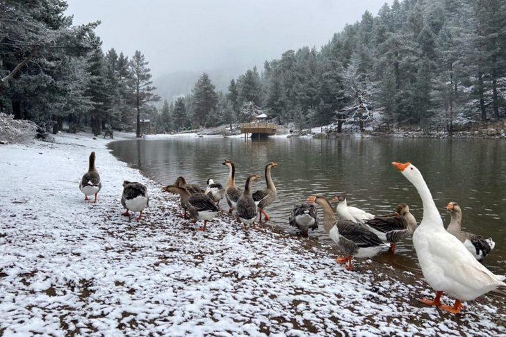 Gümüşhane’nin beyaz cenneti: Limni Gölü G4