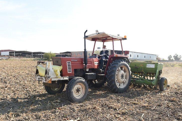 Başkan Bozdoğan, ata tohumu kunduru buğdayını toprakla buluşturdu G2