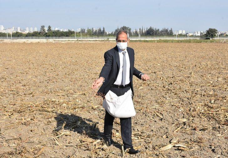 Başkan Bozdoğan, ata tohumu kunduru buğdayını toprakla buluşturdu G3